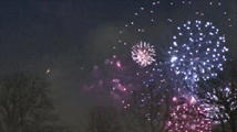 Gif animé feux d'artifices 44